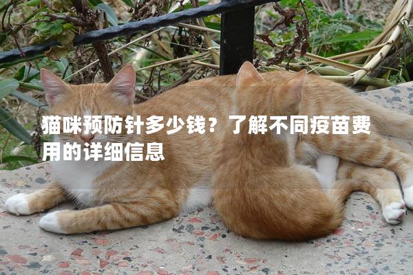 貓咪預(yù)防針多少錢？了解不同疫苗費(fèi)用的詳細(xì)信息