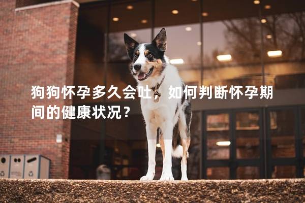 狗狗懷孕多久會吐，如何判斷懷孕期間的健康狀況？
