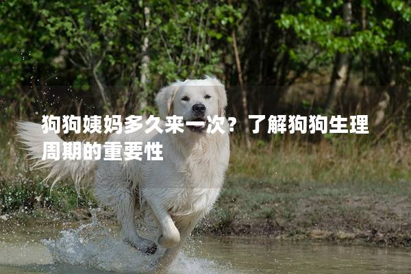 狗狗姨媽多久來(lái)一次？了解狗狗生理周期的重要性