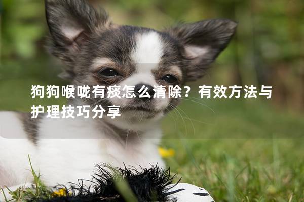 狗狗喉嚨有痰怎么清除？有效方法與護理技巧分享