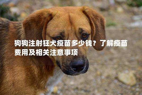 狗狗注射狂犬疫苗多少錢？了解疫苗費(fèi)用及相關(guān)注意事項(xiàng)