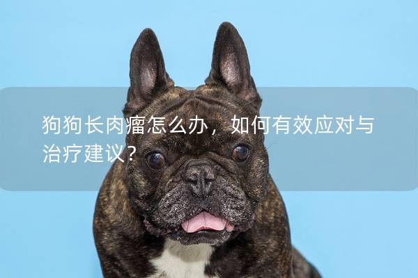 狗狗長肉瘤怎么辦，如何有效應(yīng)對與治療建議？