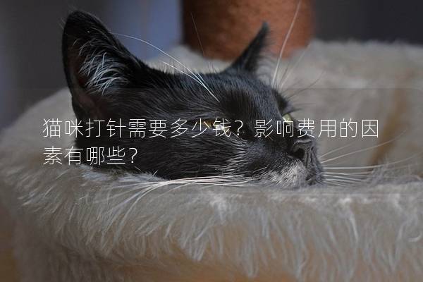 貓咪打針需要多少錢?影響費(fèi)用的因素有哪些? 貓咪打針需要多少錢?影響費(fèi)用的因素有哪些?