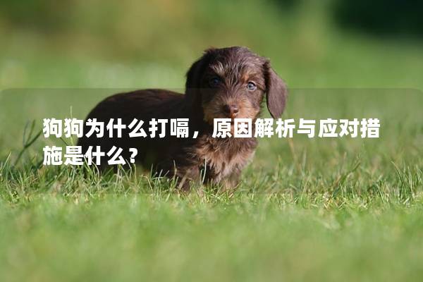 狗狗為什么打嗝，原因解析與應(yīng)對(duì)措施是什么？