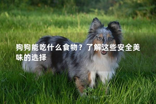 狗狗能吃什么食物?了解這些安全美味的選擇 狗狗能吃什么食物?了解這些安全美味的選擇