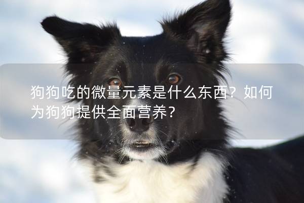 狗狗吃的微量元素是什么東西？如何為狗狗提供全面營(yíng)養(yǎng)？