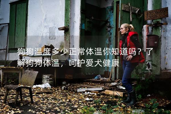 狗狗溫度多少正常體溫你知道嗎？了解狗狗體溫，呵護愛犬健康