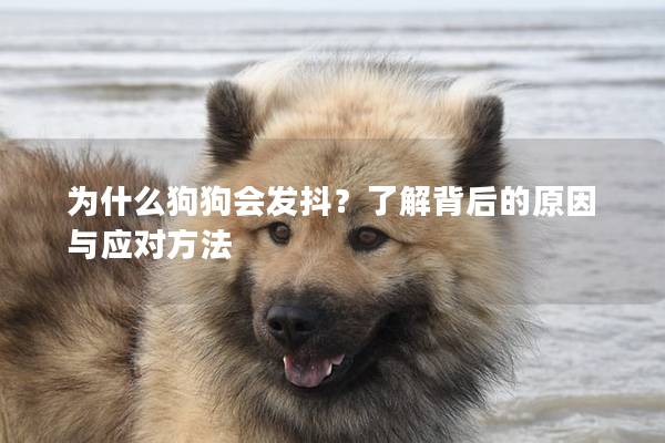 為什么狗狗會發抖?了解背后的原因與應對方法 為什么狗狗會發抖?了解背后的原因與應對方法