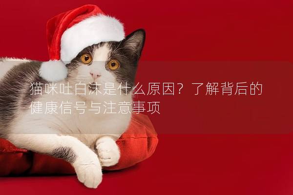 貓咪吐白沫是什么原因？了解背后的健康信號與注意事項(xiàng)