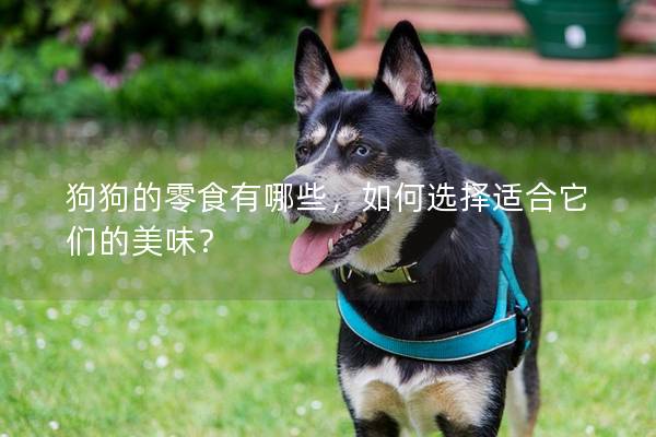 狗狗的零食有哪些，如何選擇適合它們的美味？