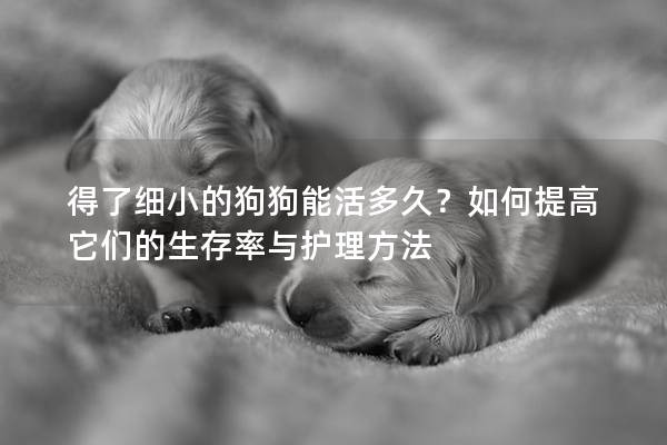 得了細(xì)小的狗狗能活多久？如何提高它們的生存率與護理方法