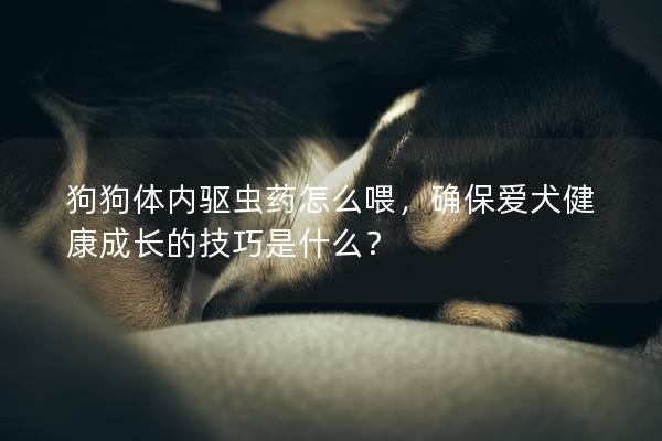狗狗體內驅蟲藥怎么喂，確保愛犬健康成長的技巧是什么？
