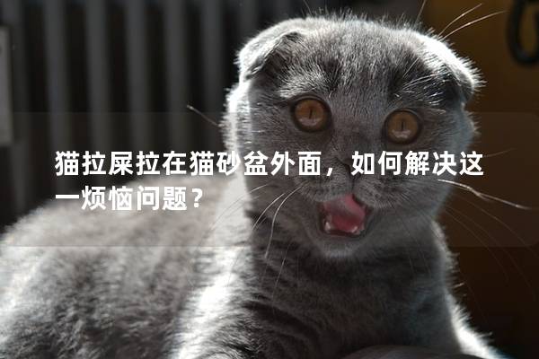貓拉屎拉在貓砂盆外面，如何解決這一煩惱問題？
