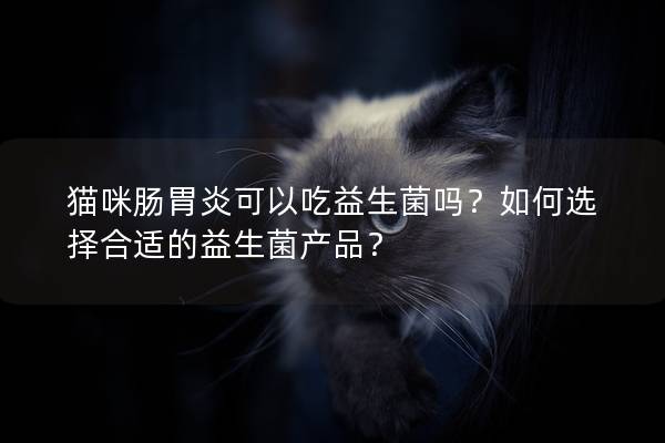 貓咪腸胃炎可以吃益生菌嗎？如何選擇合適的益生菌產品？