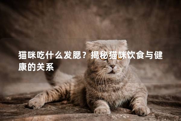 貓咪吃什么發腮？揭秘貓咪飲食與健康的關系