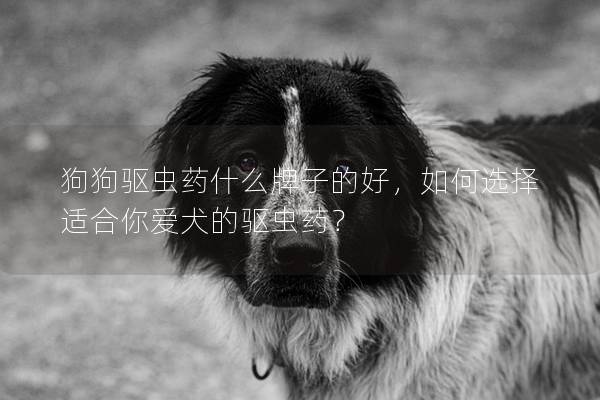 狗狗驅(qū)蟲藥什么牌子的好,如何選擇適合你愛犬的驅(qū)蟲藥? 狗狗驅(qū)蟲藥什么牌子的好,如何選擇適合你愛犬的驅(qū)蟲藥?