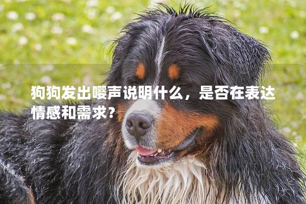 狗狗發出嚶聲說明什么，是否在表達情感和需求？