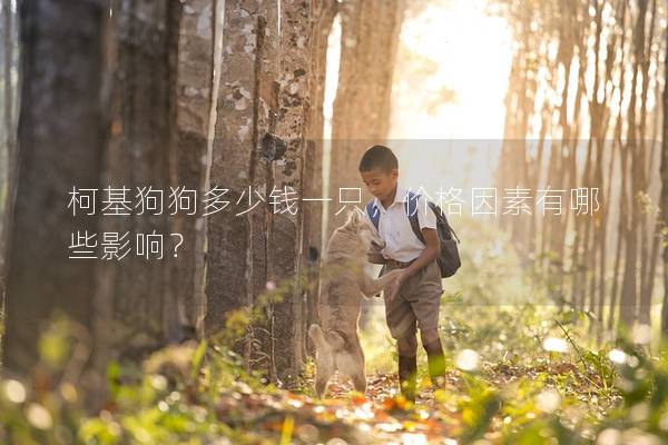 柯基狗狗多少錢一只，價格因素有哪些影響？