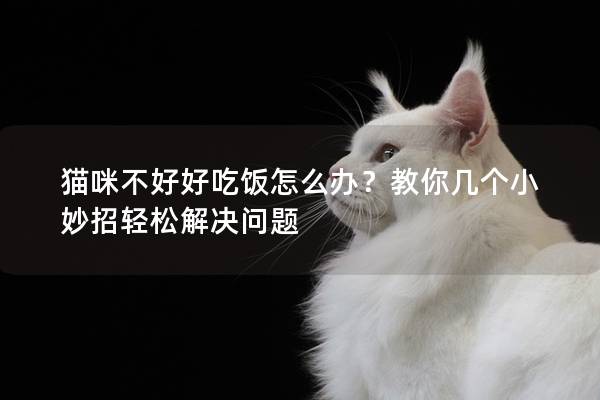 貓咪不好好吃飯?jiān)趺崔k？教你幾個(gè)小妙招輕松解決問(wèn)題