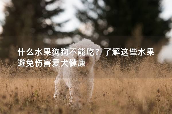 什么水果狗狗不能吃?了解這些水果避免傷害愛犬健康 什么水果狗狗不能吃?了解這些水果避免傷害愛犬健康
