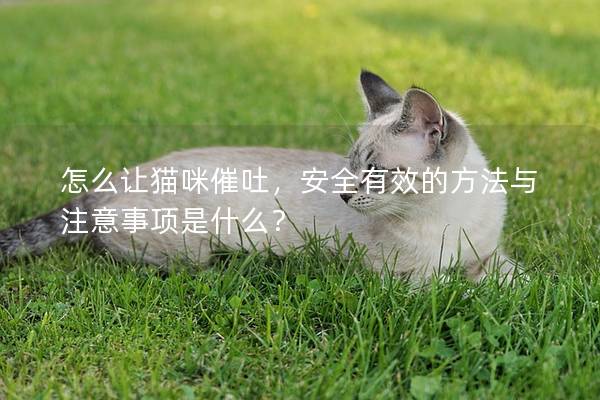 怎么讓貓咪催吐，安全有效的方法與注意事項是什么？