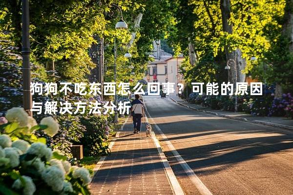 狗狗不吃東西怎么回事?可能的原因與解決方法分析 狗狗不吃東西怎么回事?可能的原因與解決方法分析
