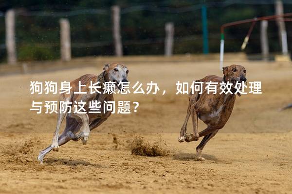 狗狗身上長(zhǎng)癩怎么辦，如何有效處理與預(yù)防這些問(wèn)題？