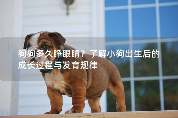 狗狗多久睜眼睛？了解小狗出生后的成長過程與發(fā)育規(guī)律