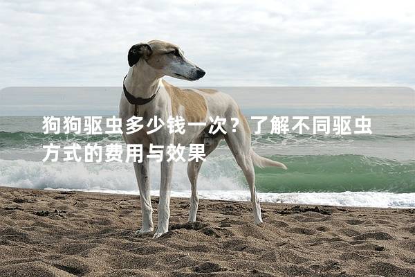 狗狗驅(qū)蟲多少錢一次？了解不同驅(qū)蟲方式的費用與效果