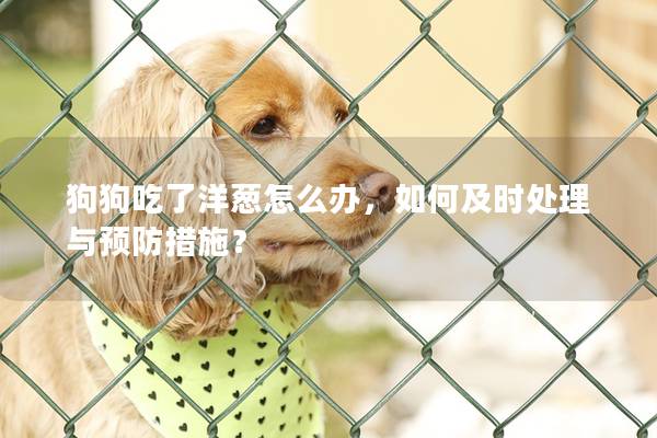 狗狗吃了洋蔥怎么辦，如何及時處理與預防措施？