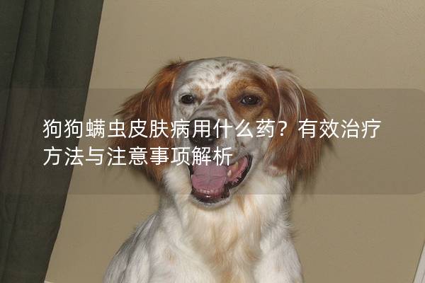 狗狗螨蟲皮膚病用什么藥？有效治療方法與注意事項解析
