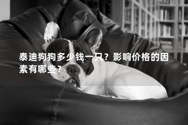 泰迪狗狗多少錢一只？影響價格的因素有哪些？