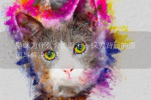 貓咪為什么會流眼淚？探究背后的原因與解決方法