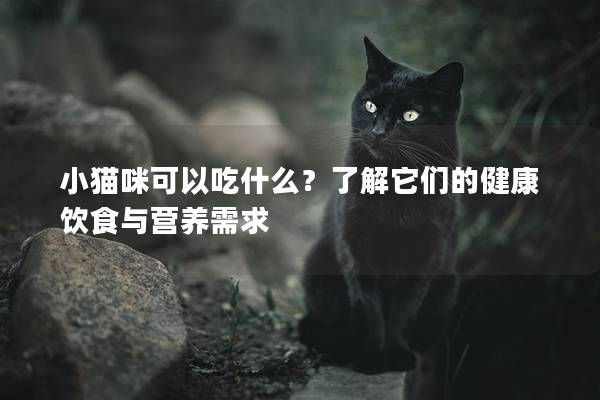 小貓咪可以吃什么？了解它們的健康飲食與營養需求