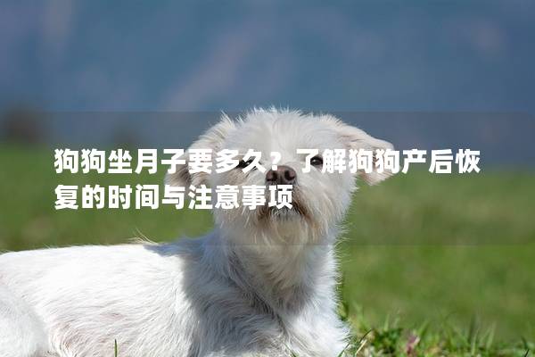 狗狗坐月子要多久？了解狗狗產(chǎn)后恢復(fù)的時(shí)間與注意事項(xiàng)