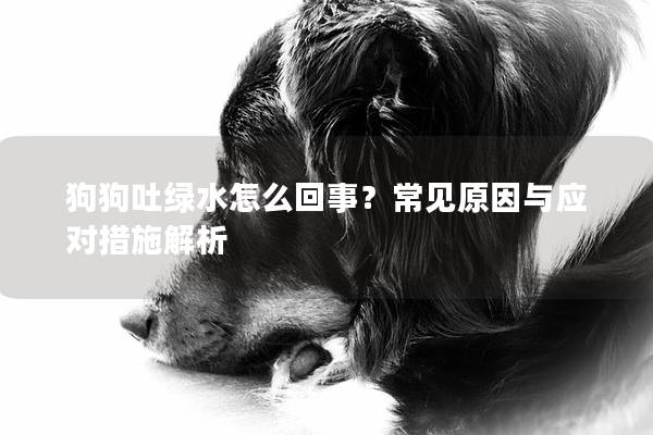 狗狗吐綠水怎么回事?常見原因與應對措施解析 狗狗吐綠水怎么回事?常見原因與應對措施解析