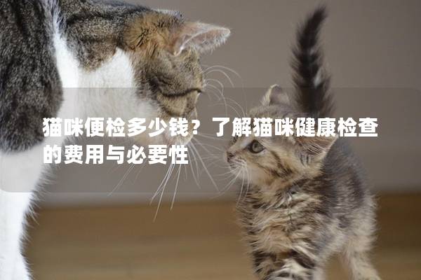 貓咪便檢多少錢？了解貓咪健康檢查的費(fèi)用與必要性