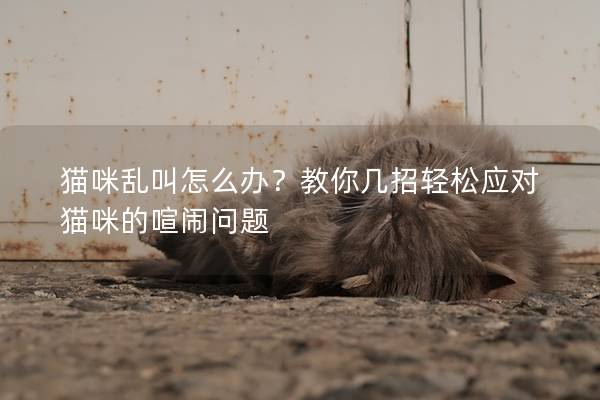 貓咪亂叫怎么辦？教你幾招輕松應對貓咪的喧鬧問題
