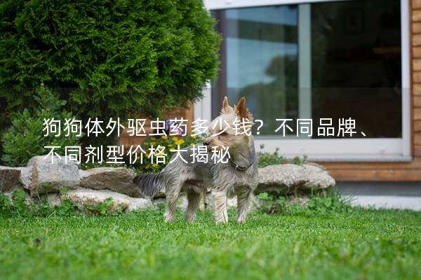 狗狗體外驅(qū)蟲藥多少錢？不同品牌、不同劑型價格大揭秘
