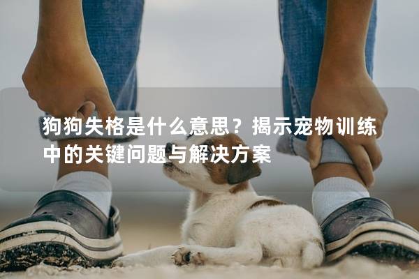 狗狗失格是什么意思？揭示寵物訓練中的關(guān)鍵問題與解決方案