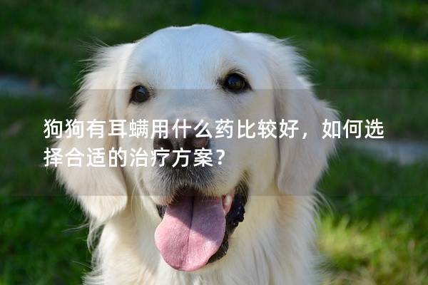 狗狗有耳螨用什么藥比較好，如何選擇合適的治療方案？