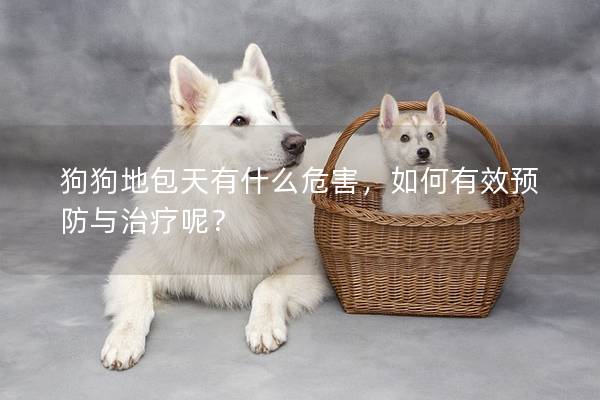 狗狗地包天有什么危害,如何有效預防與治療呢? 狗狗地包天有什么危害,如何有效預防與治療呢?