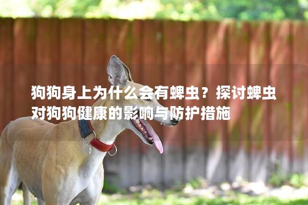 狗狗身上為什么會有蜱蟲？探討蜱蟲對狗狗健康的影響與防護措施