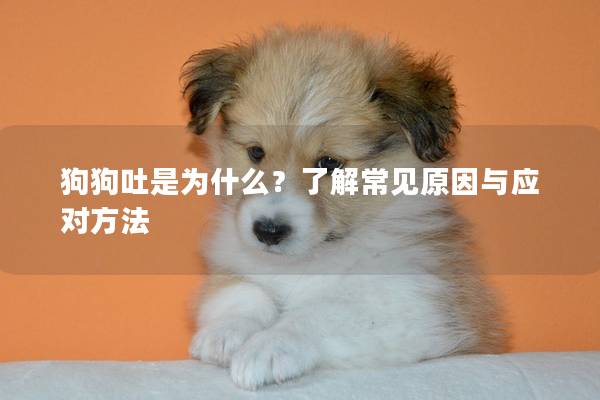狗狗吐是為什么?了解常見原因與應對方法 狗狗吐是為什么?了解常見原因與應對方法