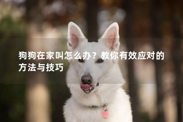 狗狗在家叫怎么辦？教你有效應(yīng)對(duì)的方法與技巧