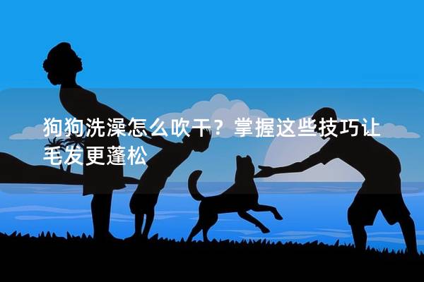 狗狗洗澡怎么吹干？掌握這些技巧讓毛發(fā)更蓬松
