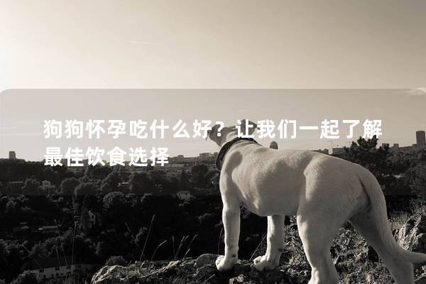 狗狗懷孕吃什么好？讓我們一起了解最佳飲食選擇