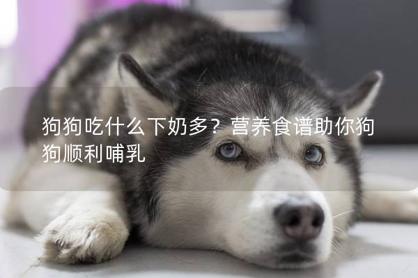 狗狗吃什么下奶多?營養(yǎng)食譜助你狗狗順利哺乳 狗狗吃什么下奶多?營養(yǎng)食譜助你狗狗順利哺乳