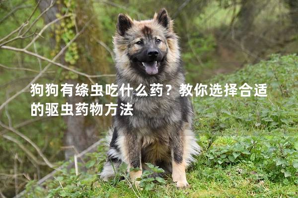 狗狗有絳蟲吃什么藥？教你選擇合適的驅蟲藥物方法