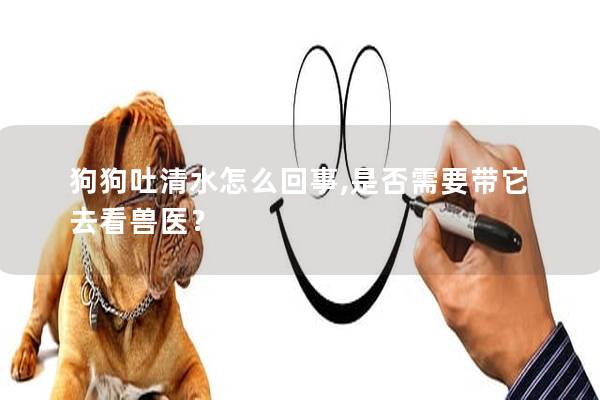 狗狗吐清水怎么回事,是否需要帶它去看獸醫(yī)？